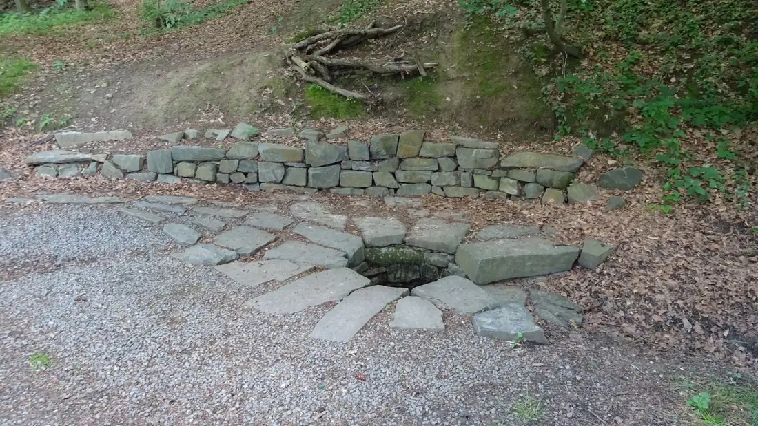 Pozůstatek historické studánky ukrytý v zeleni zámeckého parku, zachycený z výšky.